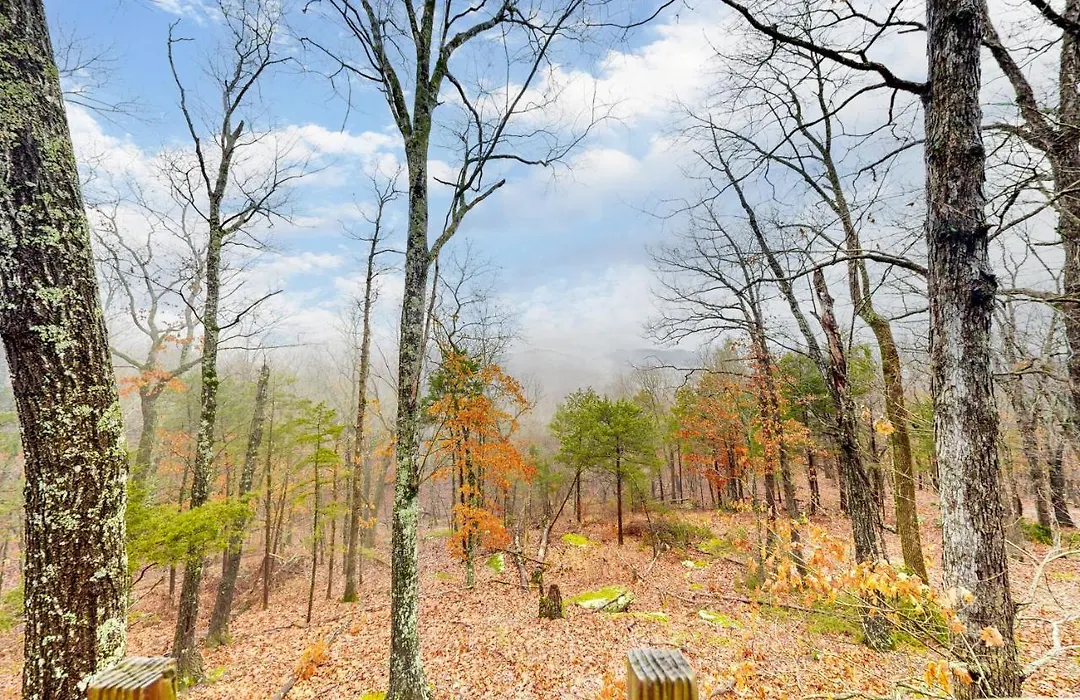 Ozark Spring Cabins - Mountain View 01-1