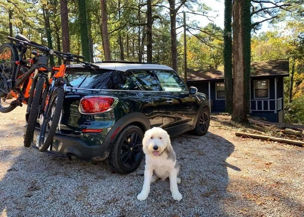 Loblolly Pines Adventure Cabin 3 - King-1