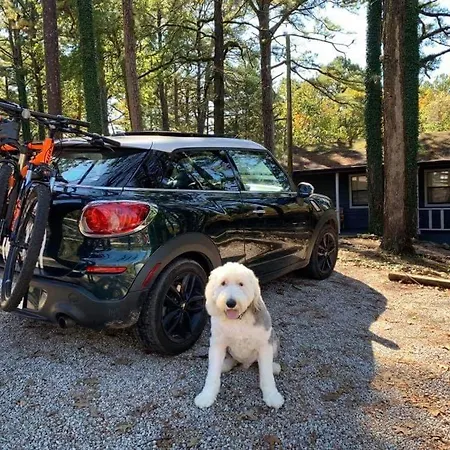 Loblolly Pines Adventure Cabin 2 King-3